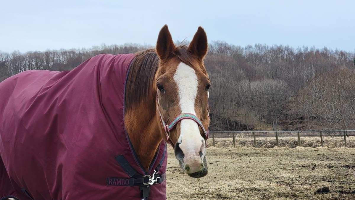 e7b90145c9c368730059d108bd3d0944-1773630643.jpg e7b90145c9c368730059d108bd3d0944-1773630643.jpg